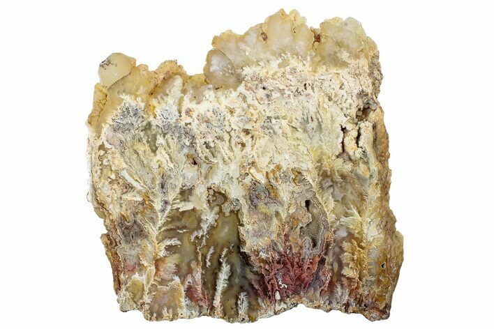 Graveyard Point Plume Agate Slab - Oregon #239919